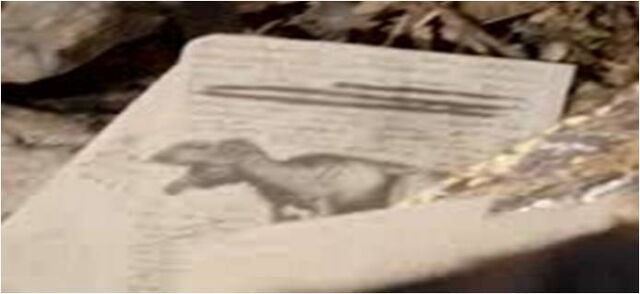 File:Cretaceous dinosaur.jpg
