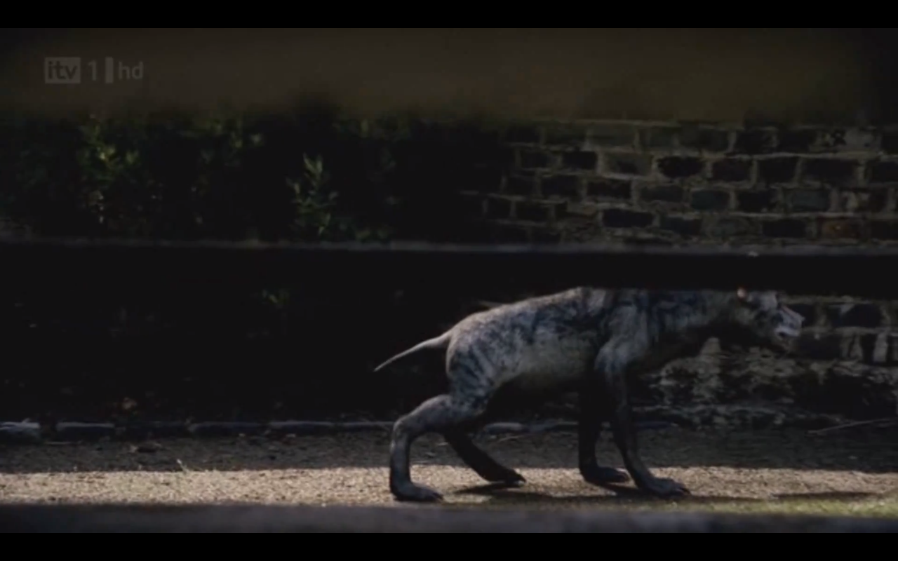 Image - Hya 11.png | Primeval Wiki | FANDOM powered by Wikia