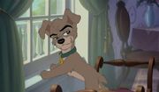 Scamp