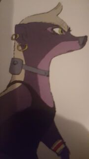 Honey Honey Badger