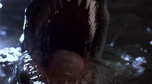 Shrieking eel