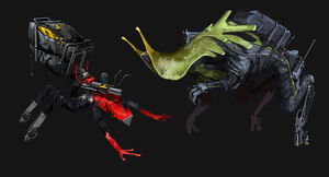 Pet2
