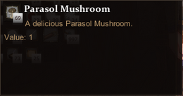 Parasol Mushroom 3