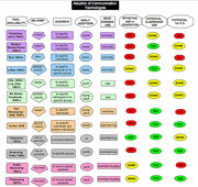 Adoption of Communication Technologies