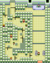 Fortree Gym E