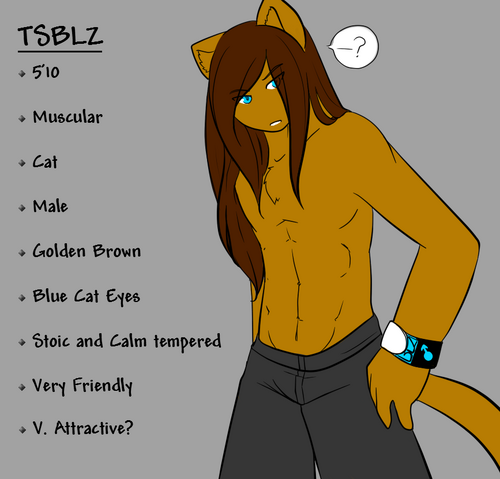 File:TSBLZ 1.png