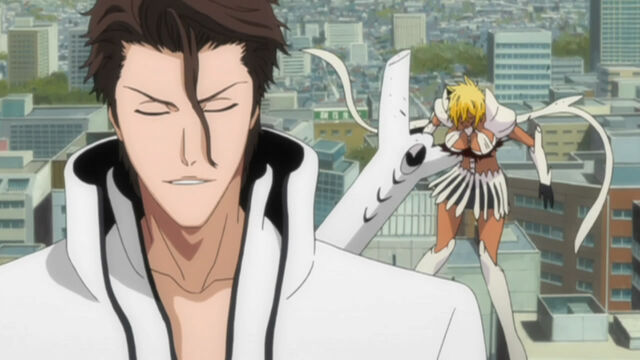 File:256667-bleach 284 large 33.jpg