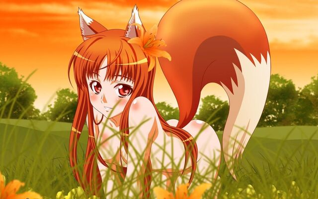 File:1288322088 1440x900 beautiful-anime-fox-girl.jpg