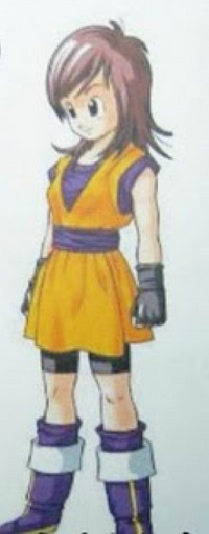 File:Z fighter.png