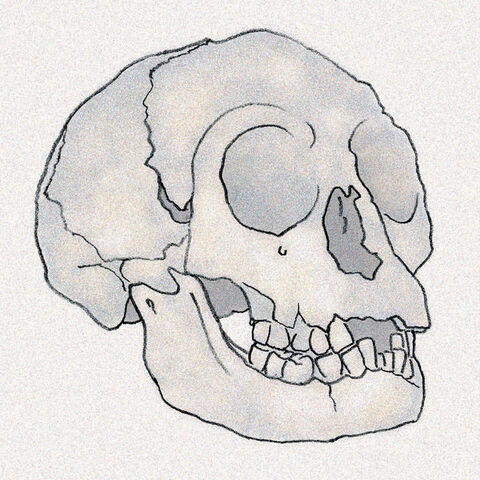 File:Little.jpg