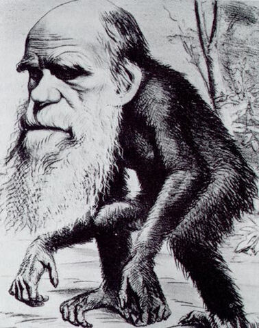 File:Darwin.jpg