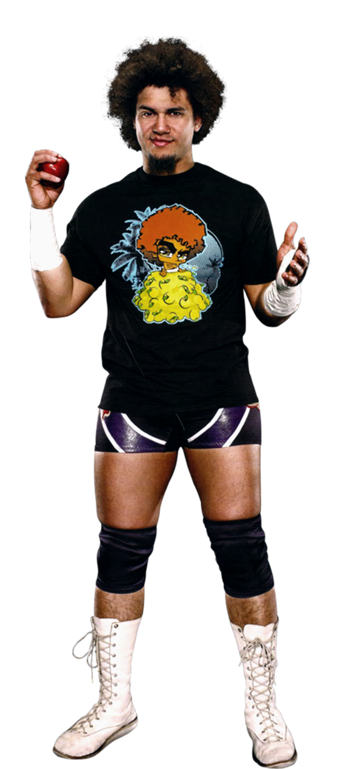 Carly Colón | Pro Wrestling | FANDOM powered by Wikia
