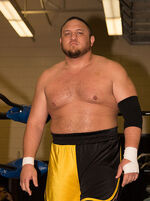 Samoa Joe.jpg