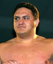 Samoa Joe
