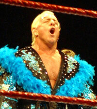 Ric Flair - Wooooo
