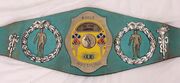 NWA World Tag Team Champion ( very old)