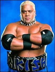 Rikishi 141729a