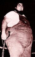 Haystacks Calhoun/Image gallery | Pro Wrestling | Fandom powered by Wikia