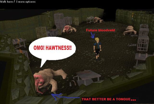 File:Bloodveld.jpg