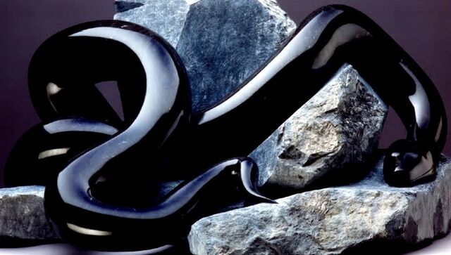 File:Black-Snake.jpg