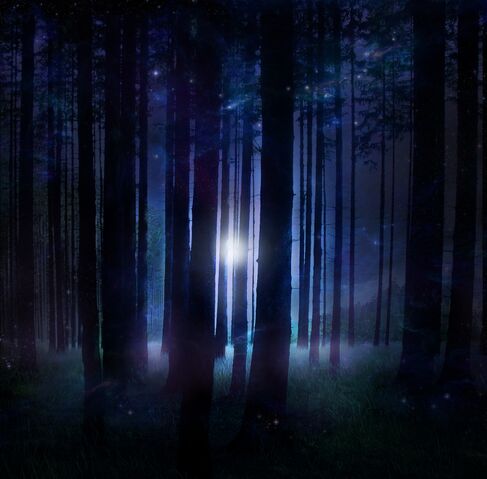 File:Magical Forest.jpg