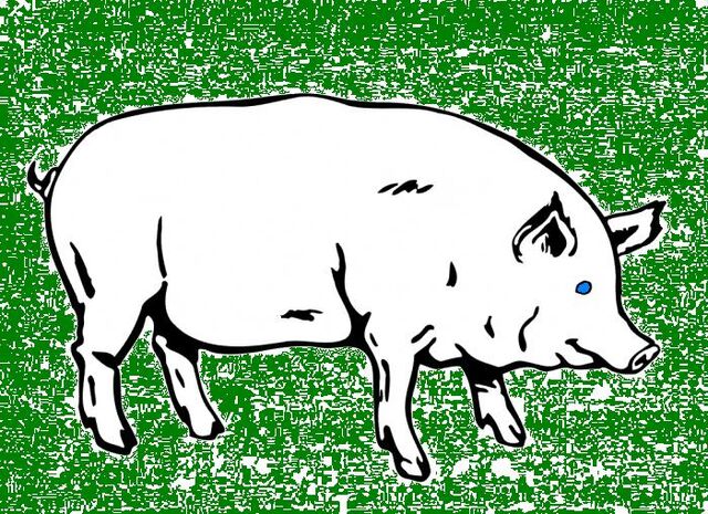 File:Pig-banner.jpg