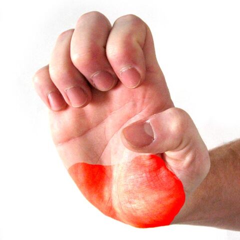 File:Palm.jpg