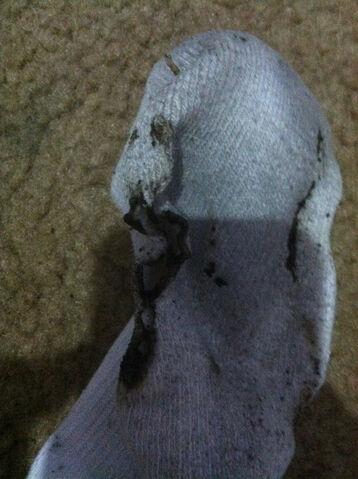 File:Image 1362429242041127.jpg