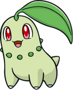 152Chikorita Dream