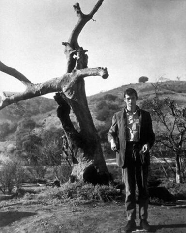 File:Tony Publicity 03.jpg