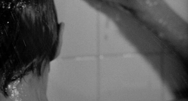File:Shower 29.jpg
