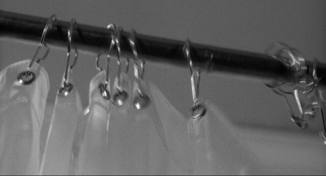File:Shower 35.jpg