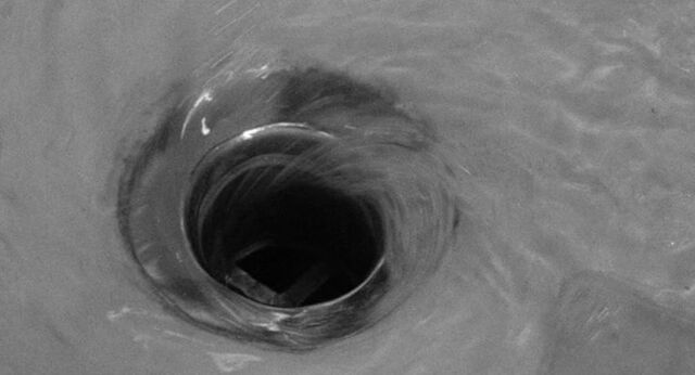 File:Shower 39.jpg