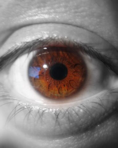 File:B&w and colour eye.jpg