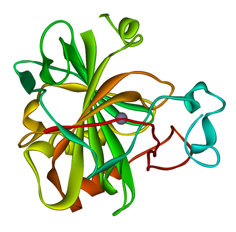 File:Carbonic anhydrase 1CA2.png