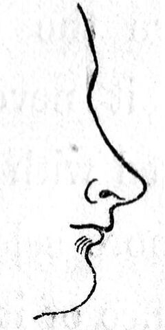 File:Class VI nose.jpg