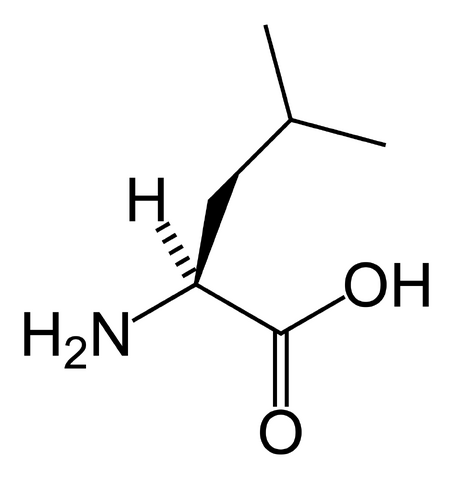 File:L-leucine-skeletal.png