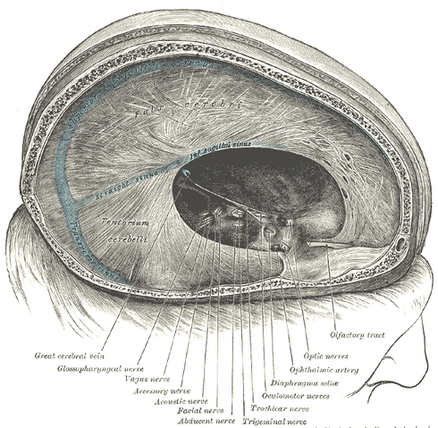 File:Gray765.png