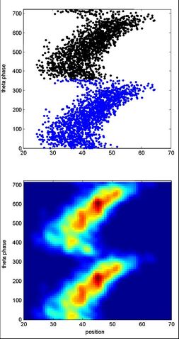 File:Phase Precession.jpg