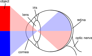 File:Eye-diagram.png