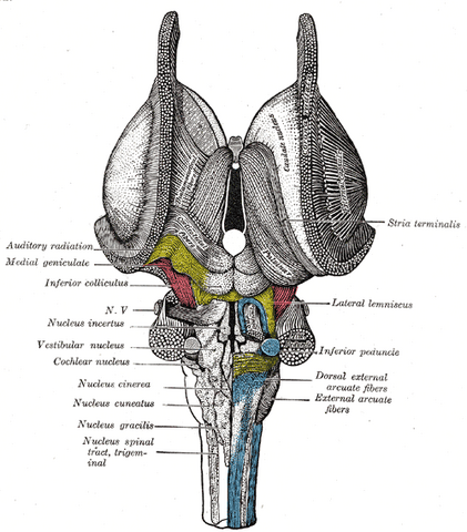 File:Gray691.png