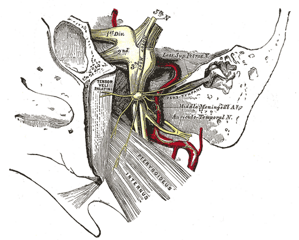File:Gray783.png
