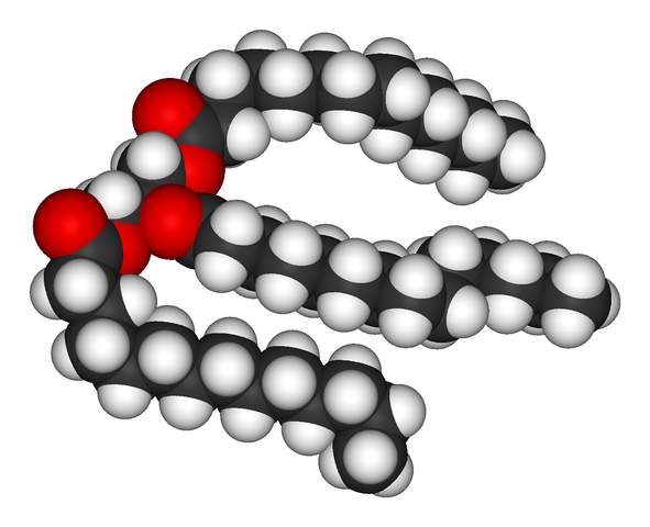 File:Trimyristin-3D-vdW.png
