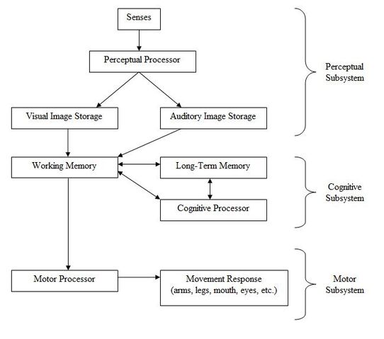 File:HumanProcessorModel.jpg