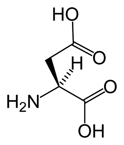 File:L-aspartic-acid-skeletal.png