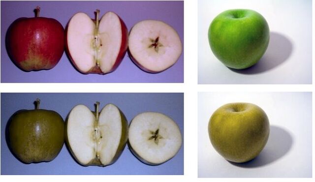 File:Braeburn GrannySmith dichromat sim.jpg