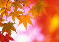 Thumbnail for version as of 20:32, September 4, 2009