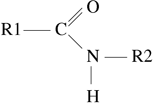 amide functional group amide functional group