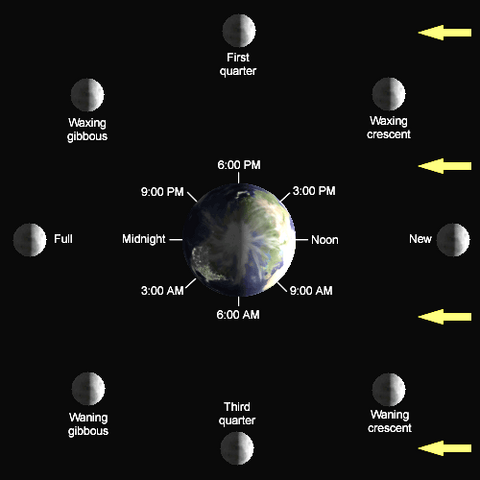 File:Lunar-Phase-Diagram.png