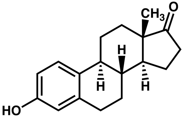 File:Estrone2.png